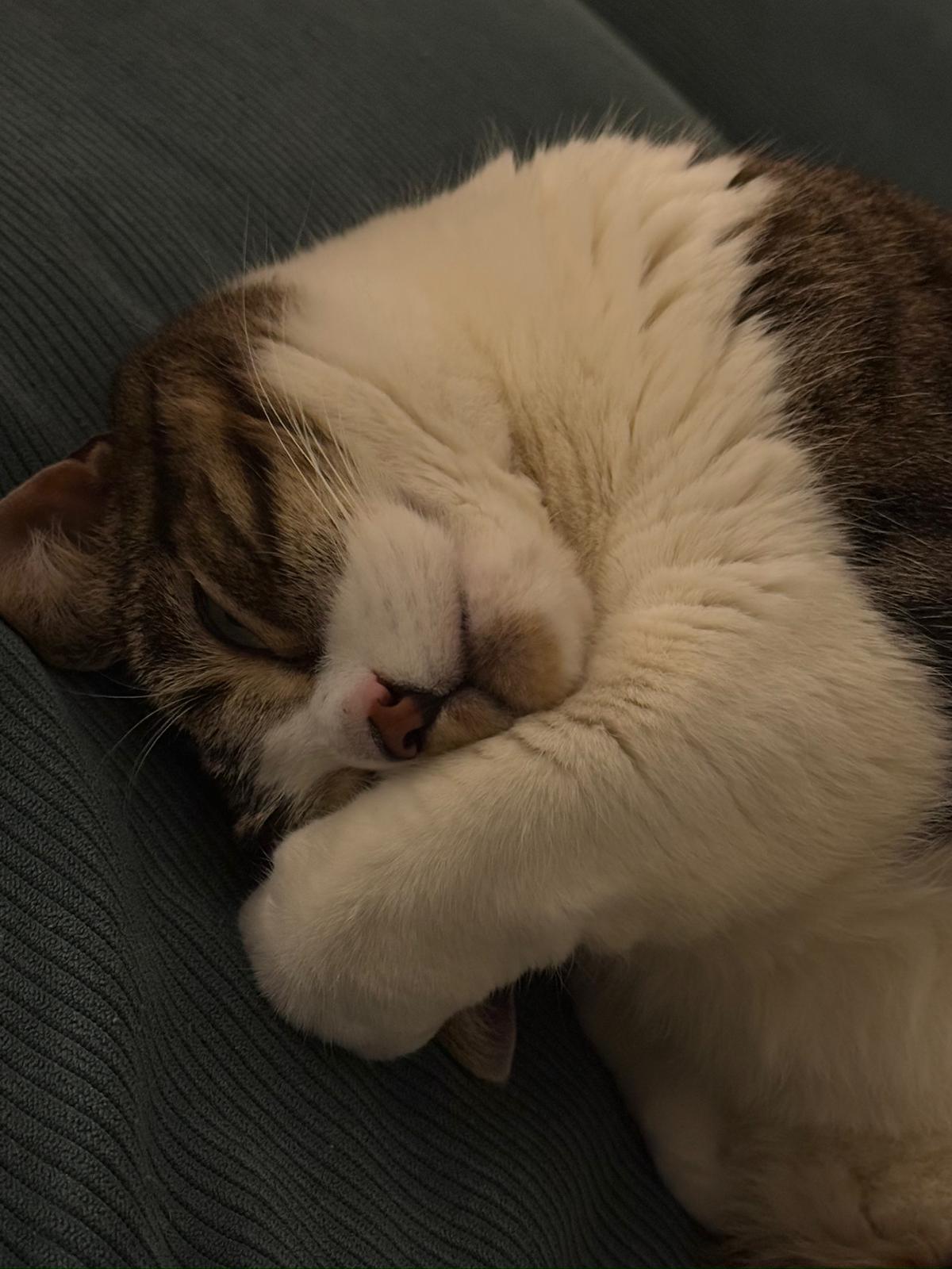 Schieferplatte mit Portrait